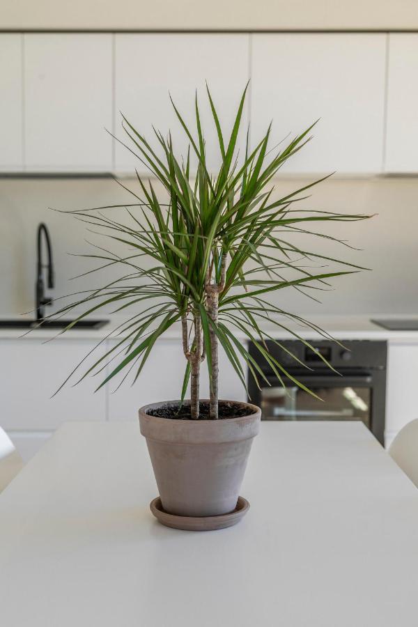 Lejlighed La Dolce - Sunny Penthouse Trastevere Station 100sqm *